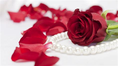 Pearl Necklace Red Rose Wallpaper 2560x1440 31290