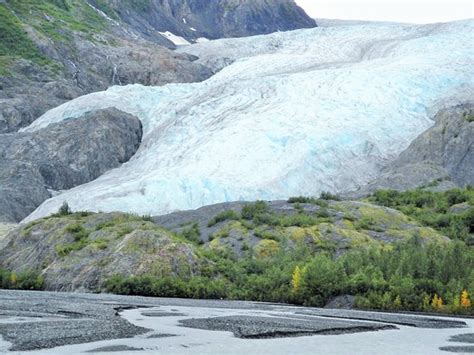 Exit Glacier Kenai Fjords National Park 2020 All You Need To Know