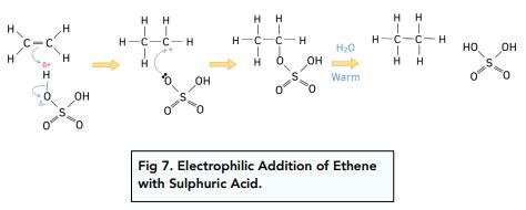 Alkenes – Alkene Structure and Reactivity – Exam-Corner