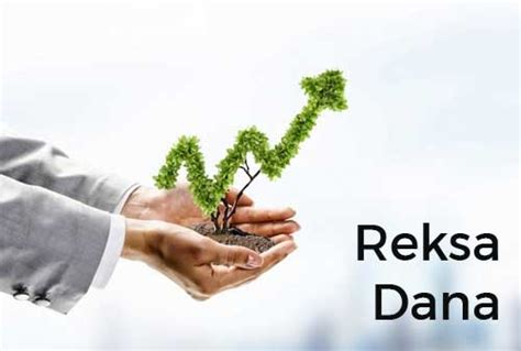 Sebelum Investasi Pahami Dulu Perbedaan Antara Reksa Dana Dan Unitlink