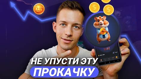 Легальная Прокачка на 50 000 000 в День в Hamster Kombat о которой