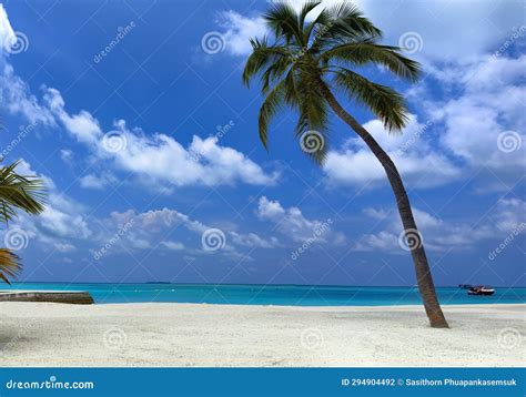 The Holiday Of Summer Palm Tree And Tropical Beach With Blue Of