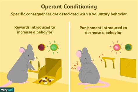 Who Discovered Operant Conditioning