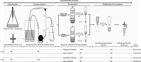 Rapid Scalable And Low Cost Purification Of Recombinant Adeno Associated Virus Produced By