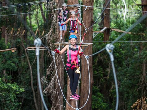 TreeTop Challenge Sunshine Coast | Big Pineapple Adventure Park