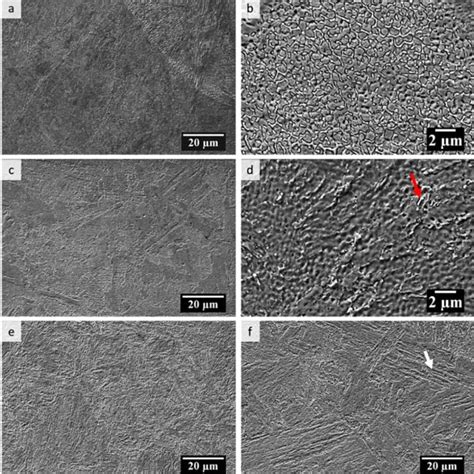 SEM SE Micrographs Of A Directly Aged Sample AB B Higher