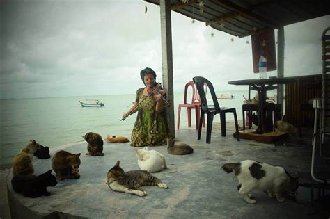 Dennis Zill Pencinta Kucing Penang Luisisme