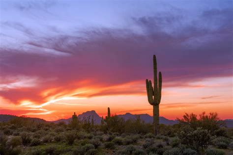 Sonoran Desert National Monument Sunset