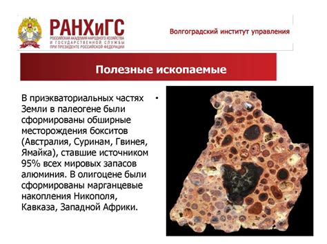 Палеоген - презентация онлайн