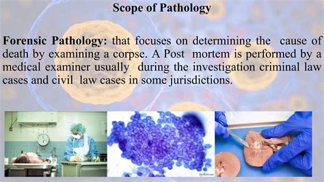 Definition And Scope Of Pathology Ppt