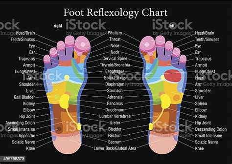 Réflexologie Plantaire Tableau Noir Description Vecteurs Libres De