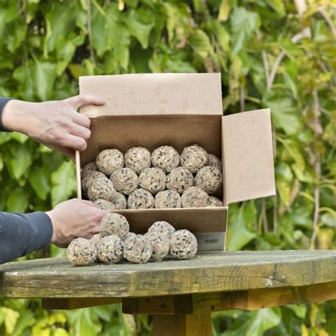 Premium Meisenknödel mit Mehlwürmern 50 Stück im Karton