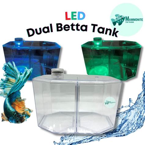 Aquarium Double Betta Fish Tank LED Dual BettaHex Clear Lazada PH