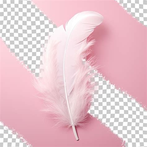 Premium PSD White Feather On Transparent Background