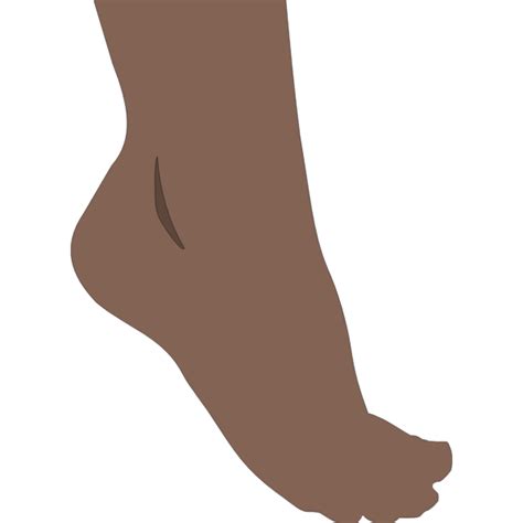 Human Foot Vector Image Free Svg