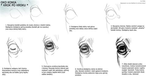 horse eye | Horse drawings, Horse drawing tutorial, Horse anatomy