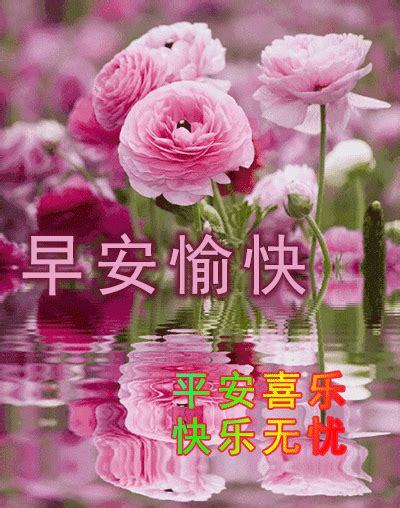 3月16日清晨早上好问候祝福动态表情图片 最美早晨好问候动态表情鲜花 动态图库网