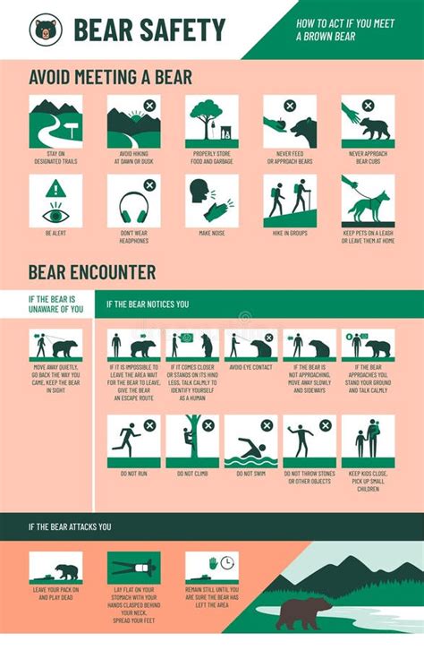 Infografía De Seguridad De Los Osos Cómo Actuar Si Conoces a Un Oso