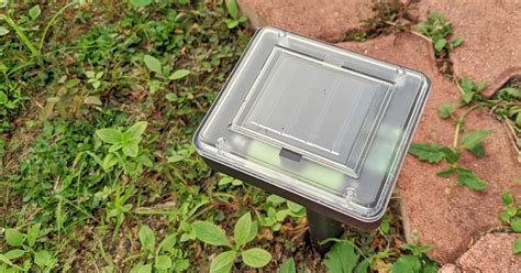 Борьба с медведкой на огороде — Ботаничка