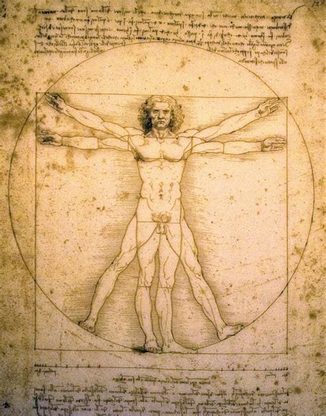 When Is The Vitruvian Man On Display 2024 Quinn Carmelia