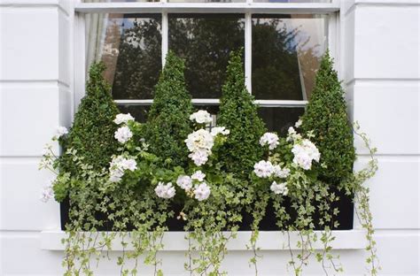 Gorgeous Flowering Window Box Ideas For Spring Window Box Flowers