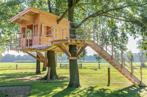 Construction d une cabane dans les arbres conseils et étapes