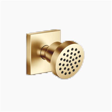 Series Specific Brushed Durabrass 23kt Gold Sprays And Shower Systems