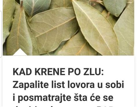 KAD KRENE PO ZLU Zapalite List Lovora U Sobi I Posmatrajte Šta Će Se