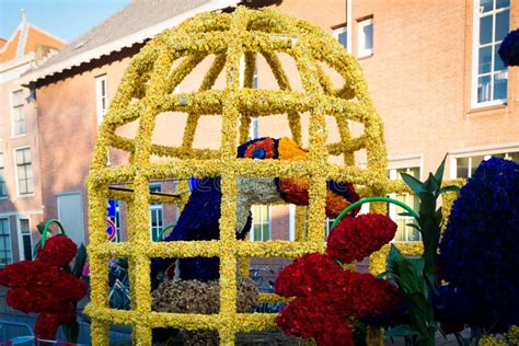 Platforms Decorated With Flowers On Bloemencorso Bollenstreek Flower