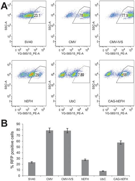 Facs Analysis Of Rfp Positive Cells In Stable Hek 293 Cells