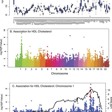 Detection Of Associations For Plasma Lipids In Hmdp Strains Coincide Download Scientific