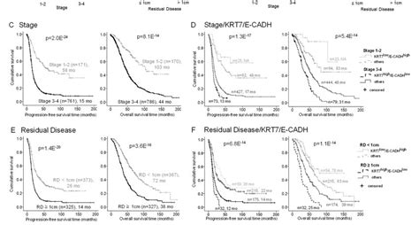 KRT7 And E CADH Combination Improves Prognosis Evaluation Of Patients