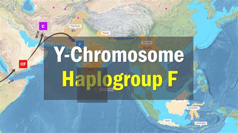 Distribution of Y-Chromosome Haplogroup F - YouTube