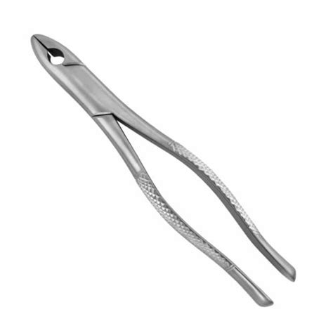 99C Kells Extraction Forceps ProDentUSA