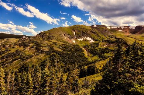 Colorado Timberline Photograph By Mountain Dreams Fine Art America