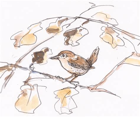 Carmarthen Artist Jenny Wren