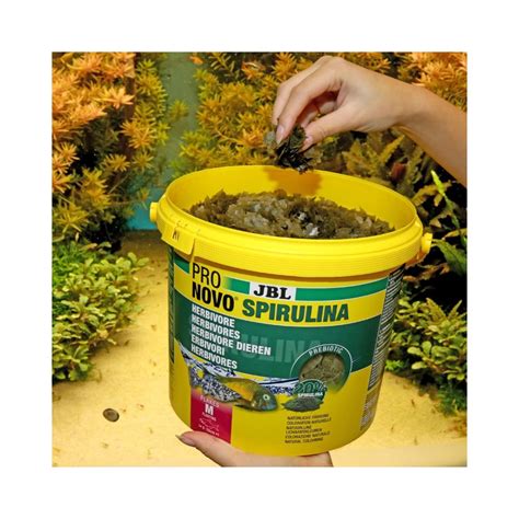 JBL ProNovo Spirulina Flakes M pašaras žuvims 5 5 l