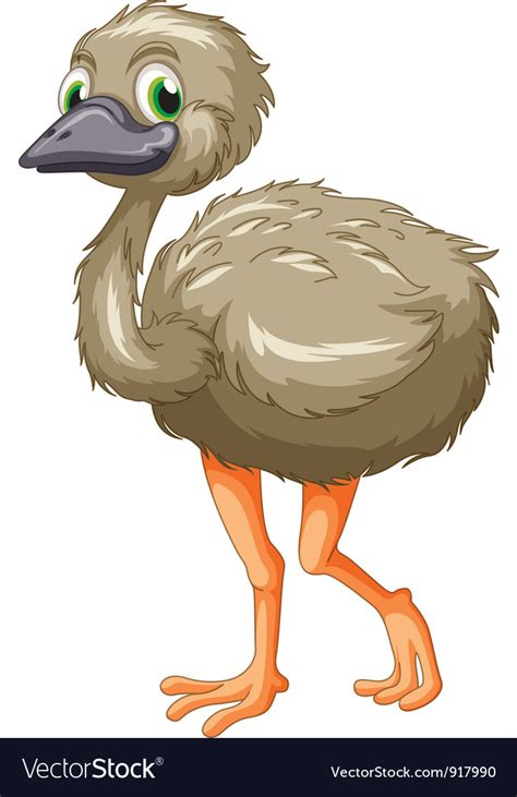 Emu cartoon Royalty Free Vector Image - VectorStock