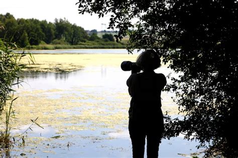 Premium Photo Rear View Of Woman Photographing While Standing At Lakeshore