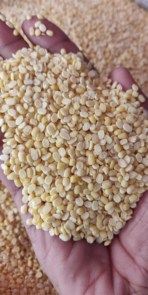 Yellow Split Moong Dal High In Protein Packaging Size Kg At Rs