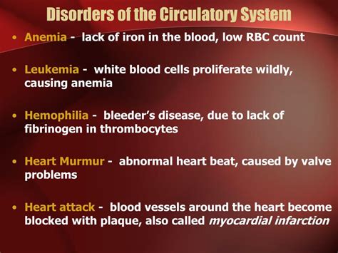 Ppt The Circulatory System Powerpoint Presentation Free Download