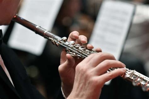 8 Popular Types Of Flutes Verbnow