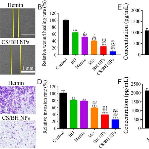 In Vitro Cs Bh Nps Inhibit The Migration And Invasion Of Breast Cancer Download Scientific