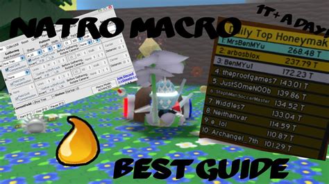 How To Use Natro Macro In Bee Swarm Simulator 2023 Updated Youtube