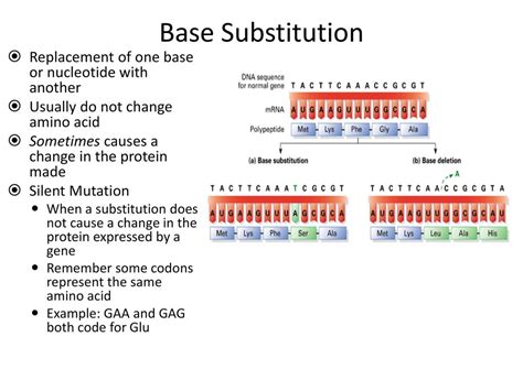 Substitution Mutation Examples