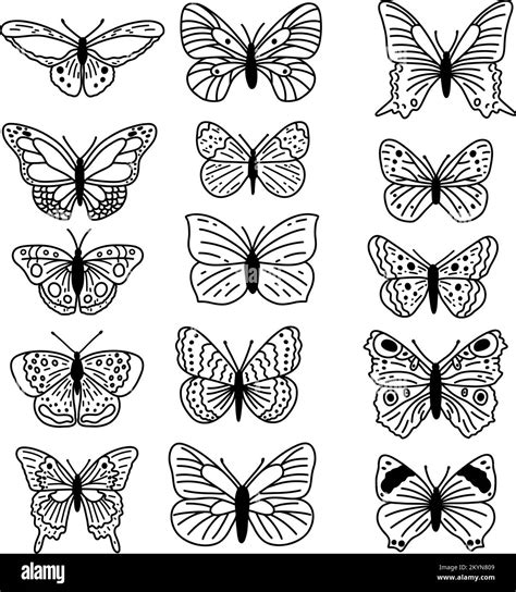 Mariposas para imprimir Imágenes de stock en blanco y negro Alamy