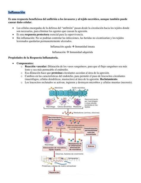 Inflamación y Reparación Lunatica Med UNC uDocz