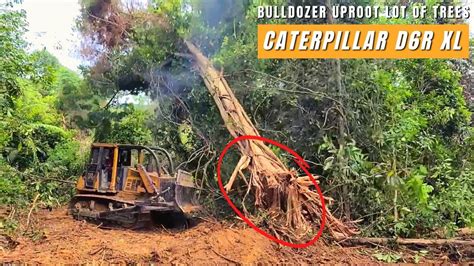 The Bulldozer Taking Out A Lot Of Trees Bulldozer Caterpillar D R Xl