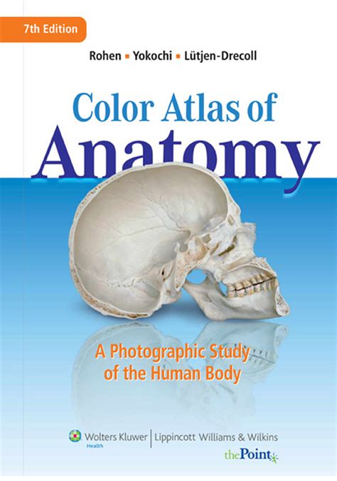 Atlas Fotogra Fico De Anatomia Humana Yokochi This Page Intentionally