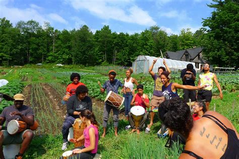 Farming while Black: How 1 mother is fighting to end racism in the food ...